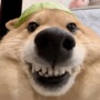 BIN
