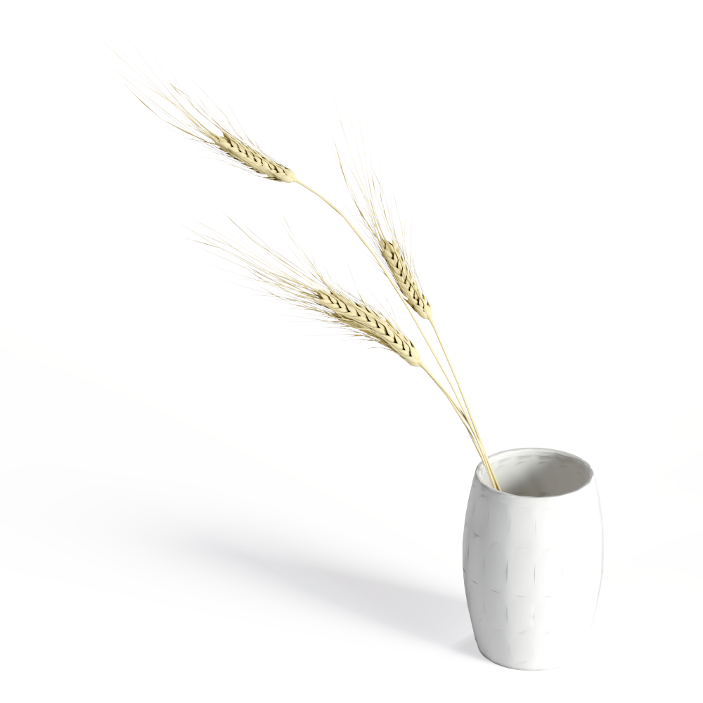 干枝