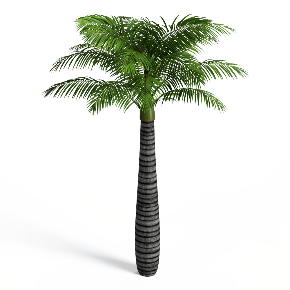 树