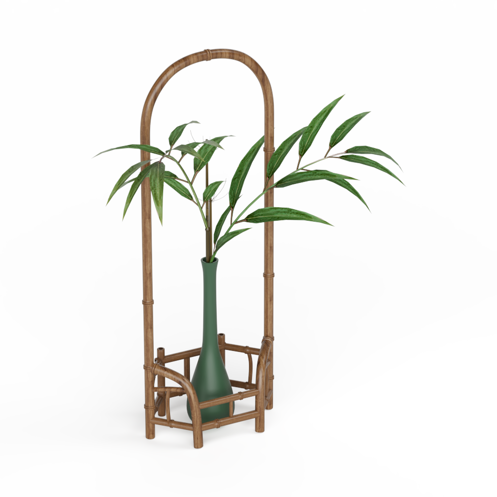 桌面绿植