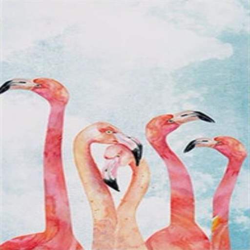 动物挂画-火烈鸟