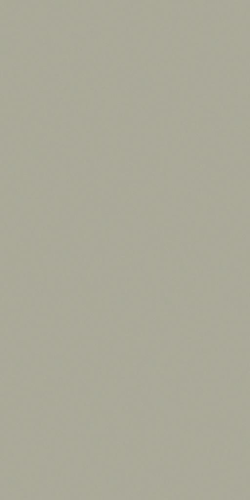 子午灰-中森贝尔