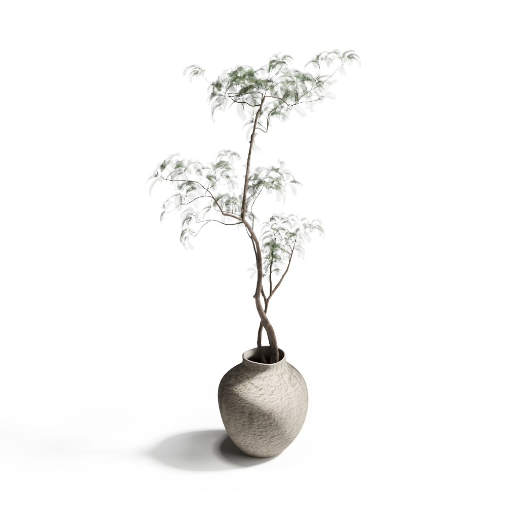 绿植盆栽