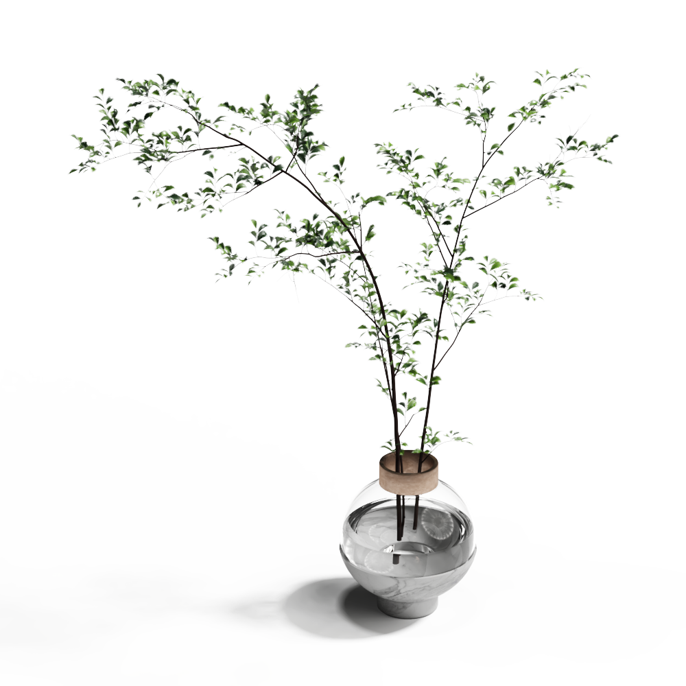 现代桌面植物