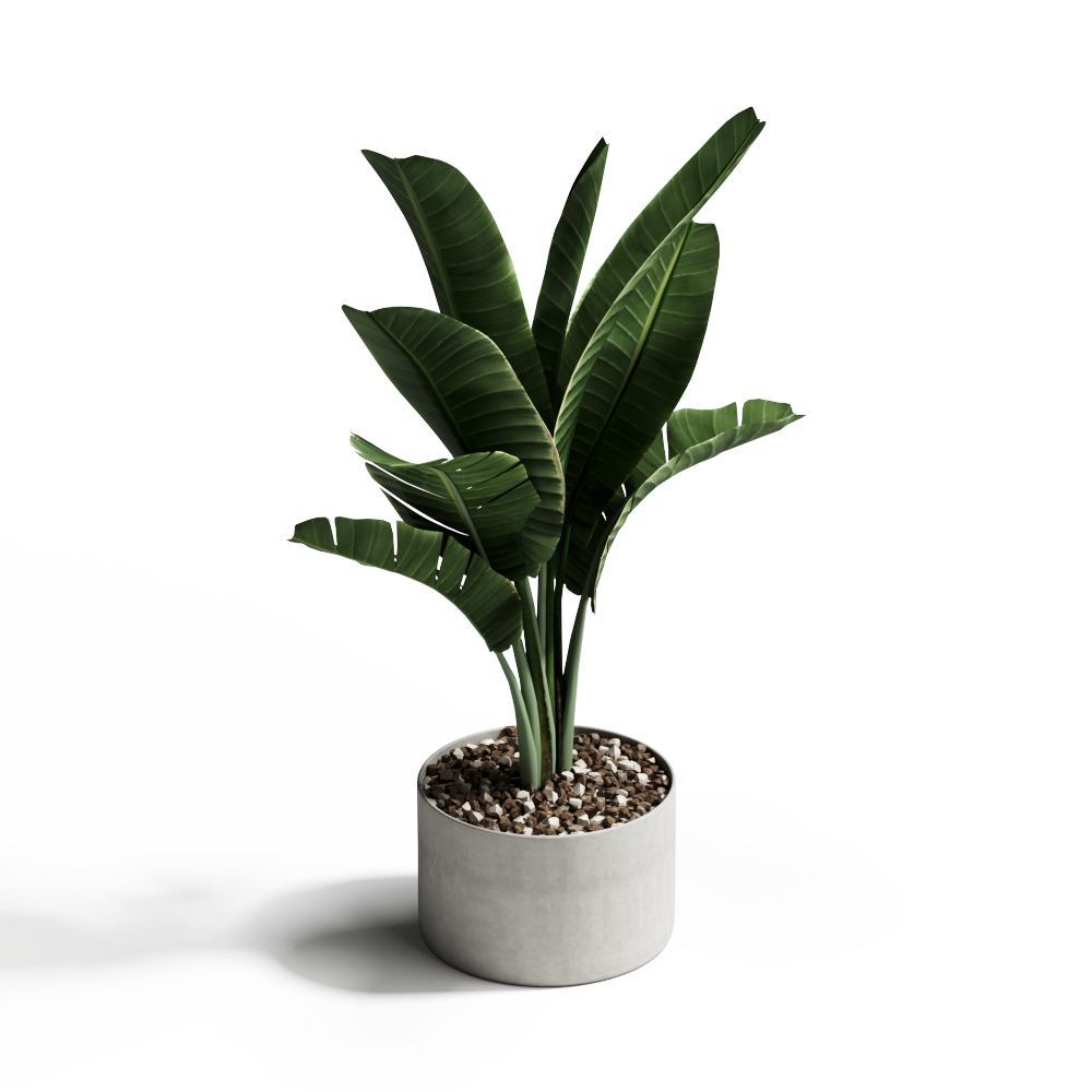 绿色盆栽9