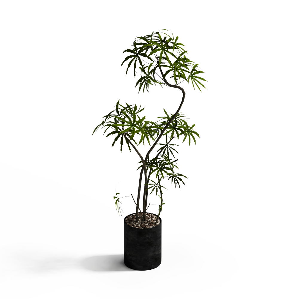 绿植盆栽1