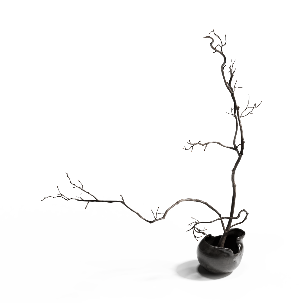 侘寂风干支