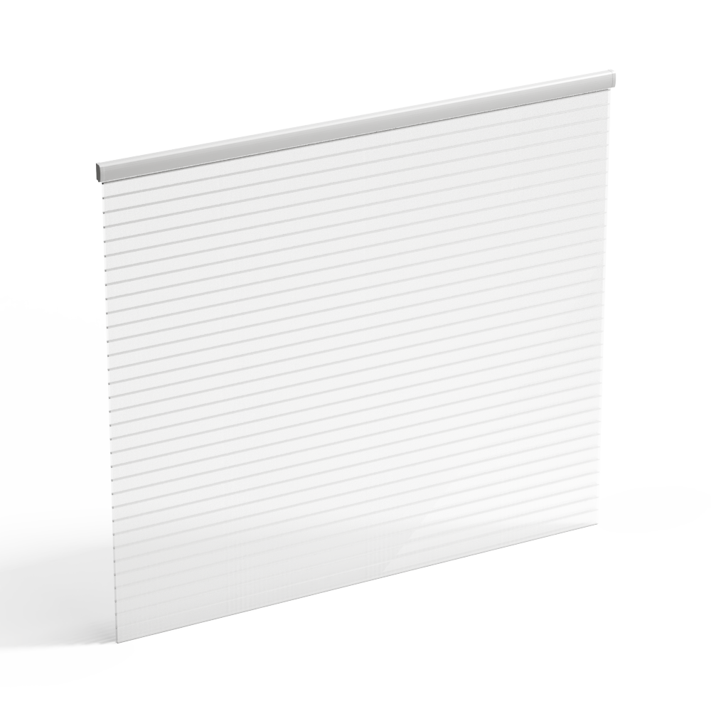 帘子『DT丨猪柳蛋