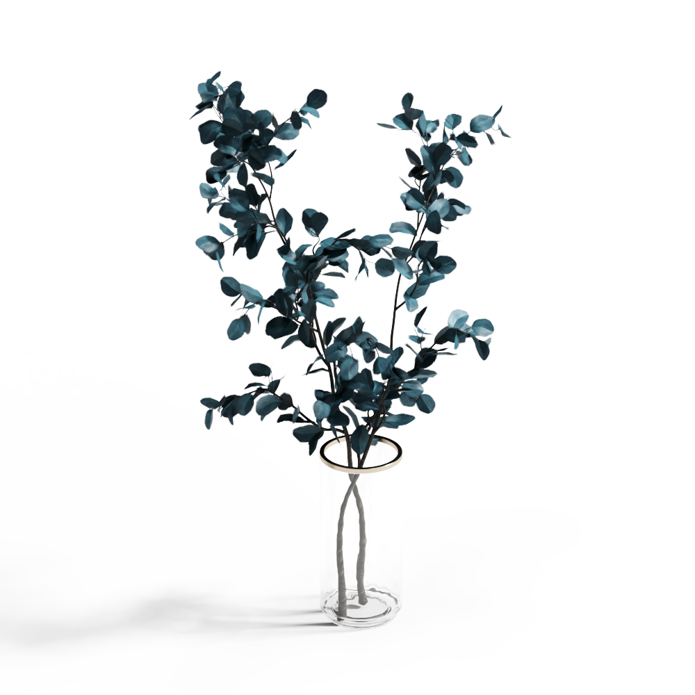 桌面绿植【阿乐】