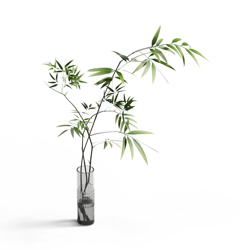 绿植