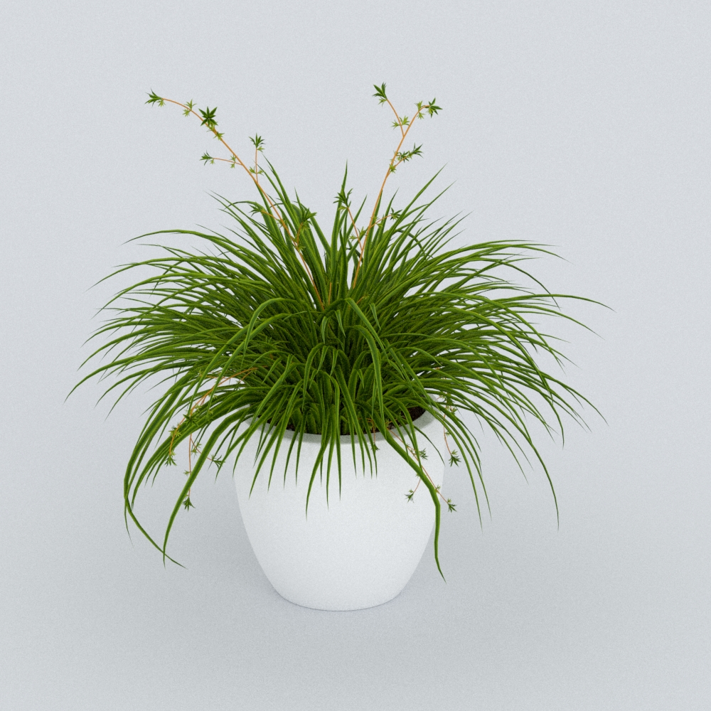 桌面绿植模型素材-桌面绿植模型-三维家模型素材库